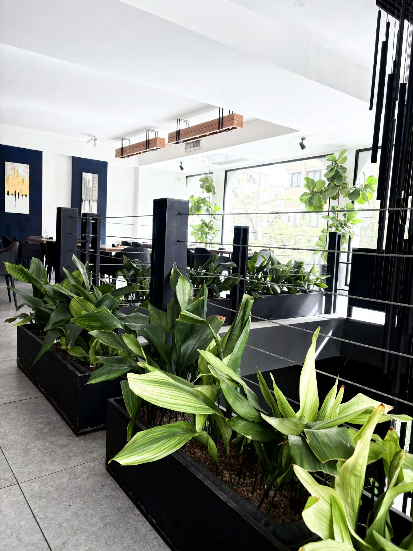 観葉植物が配置された明るい店舗空間